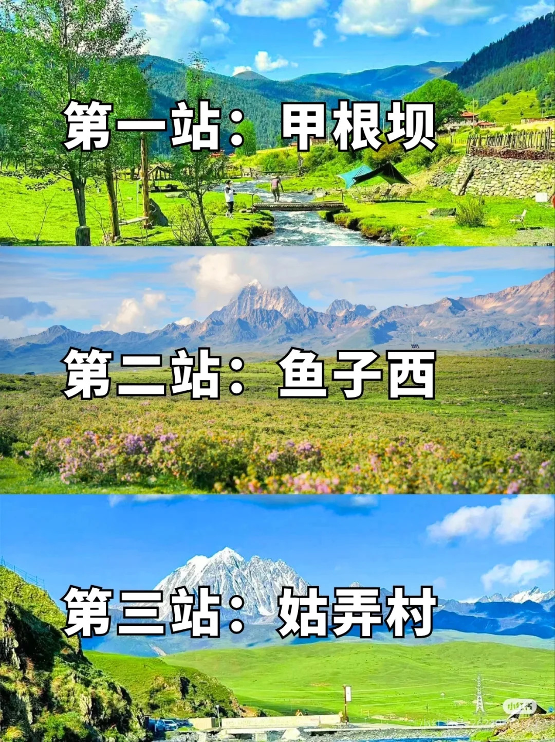 地图
